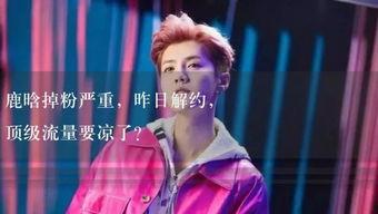 娱乐吃瓜酱是谁教你们