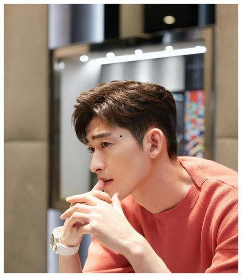 吃瓜娱乐张翰,吃瓜娱乐背后的明星生活